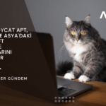 toddycat apt